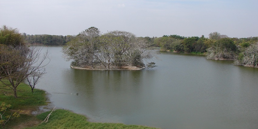 Enjoy the calm beauty of Karanji Lake in Mysore, a perfect escape into nature.