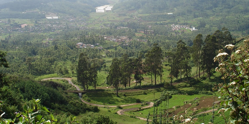 Witness breathtaking views at Ketti Valley, also called the "Switzerland of South India."