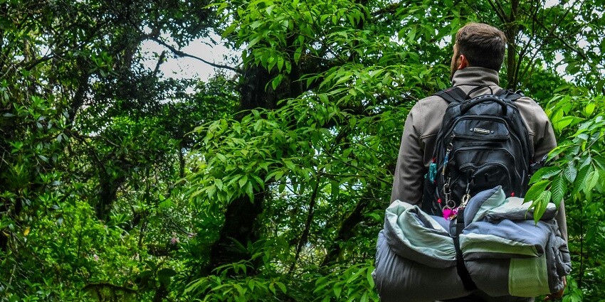 A trekker exploring the rugged terrain and dense forests of Satpura National Park.