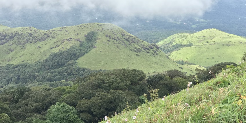 View from Tadiandamol Peak, showcasing the best things to do in Kodagu trekking.