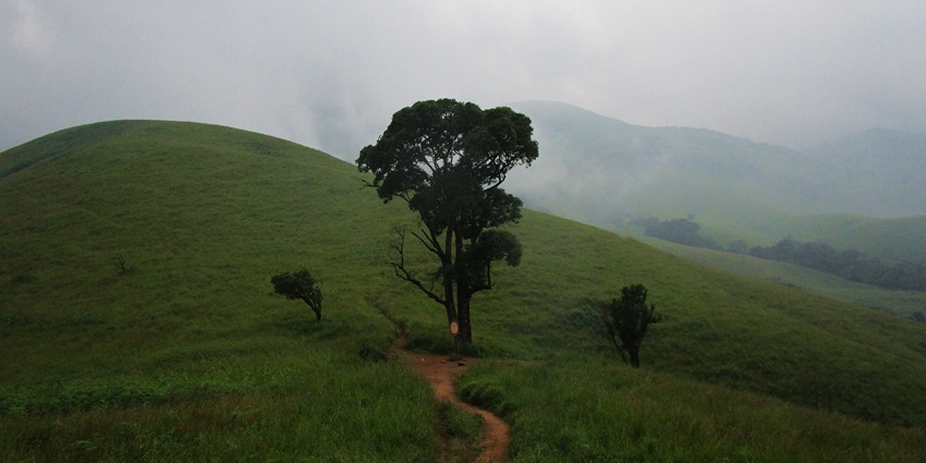 Trek to Kudremukh Peak is among the best things to do in Chikmagalur with breathtaking views and lush green trails.