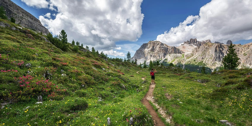 A glimpse of a person trekking through rustic terrains surrounded by lush greenery.