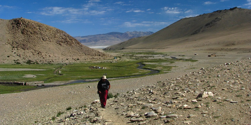 Go trekking to the high-altitude terrains of Ladakh while visiting this national park
