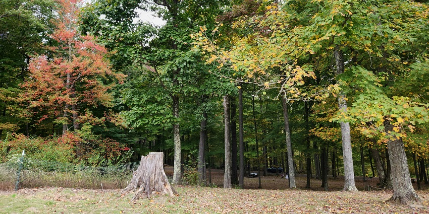 The best things to do in Bheemeshwari include trekking at Bheemeshwari nature trails.