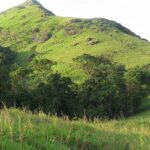 Trekking in Tamil Nadu offers diverse landscapes and unforgettable experiences.