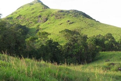 Trekking in Tamil Nadu offers diverse landscapes and unforgettable experiences.