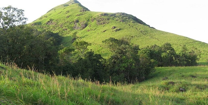 Trekking in Tamil Nadu offers diverse landscapes and unforgettable experiences.