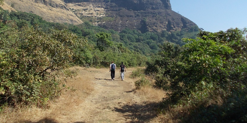 An exciting hike that ends with the Sajjangad Fort, a historic site.
