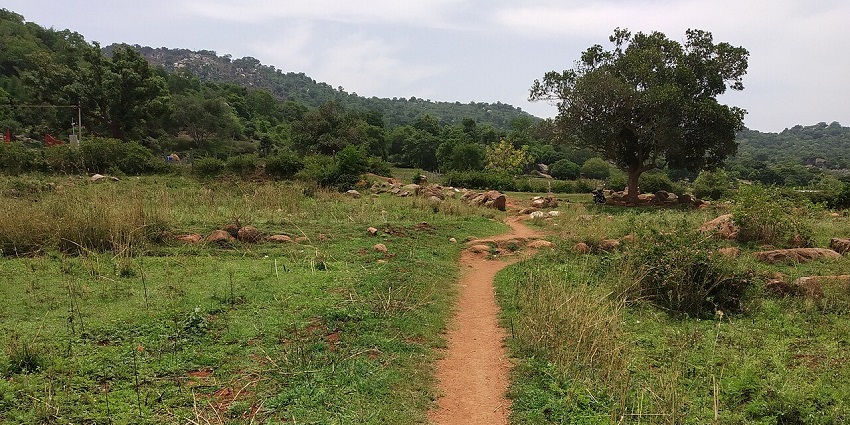 A scenic picture of trekkers at Swamimalai Hill, one of the top things to do in Yelagiri.