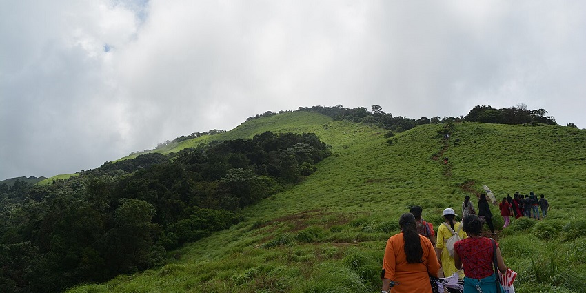 A beautiful view of Barabar Hill, featuring a trekking path through the greenery.
Viewers of this file can see comments and suggestions