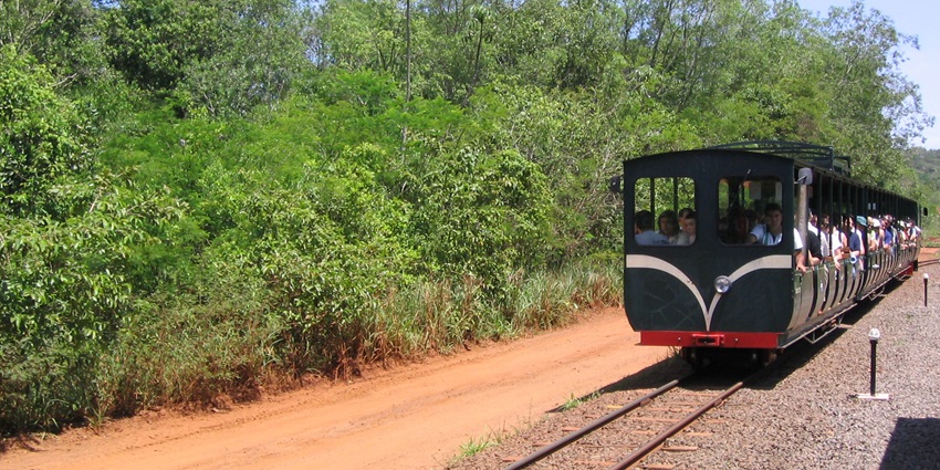 Tropical Rainforest Ecological Camp has a nature experience and biodiversity exploration.