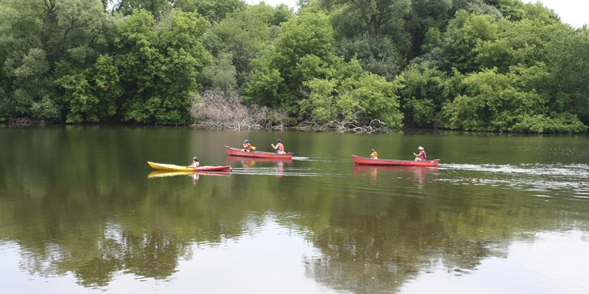 Kayaker gliding on Kundalika River.