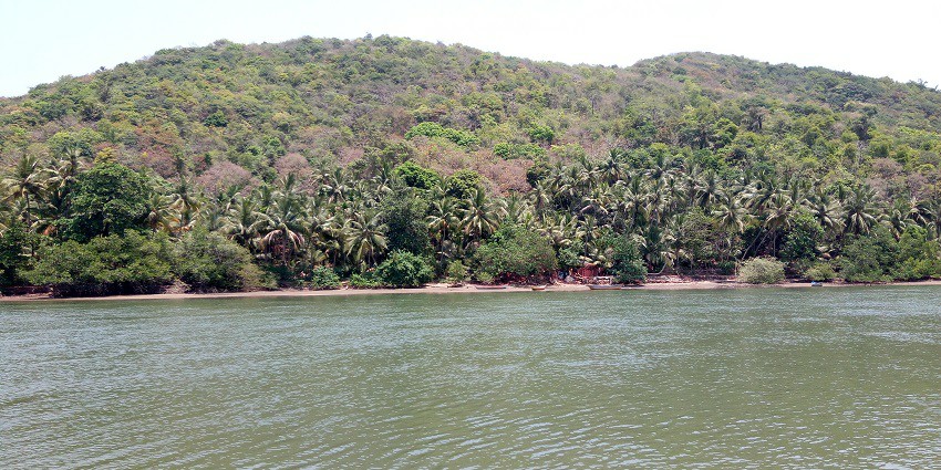 The sprawling Tsunami Island offers a perfect weekend retreat amidst natural beauty.