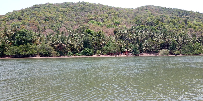 Tsunami Island features rugged landscapes, vibrant flora, and dramatic coastal views.