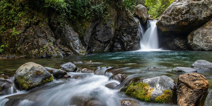 A glimpse of the serene Tungareshwar Waterfall surrounded by lush green vegetation.