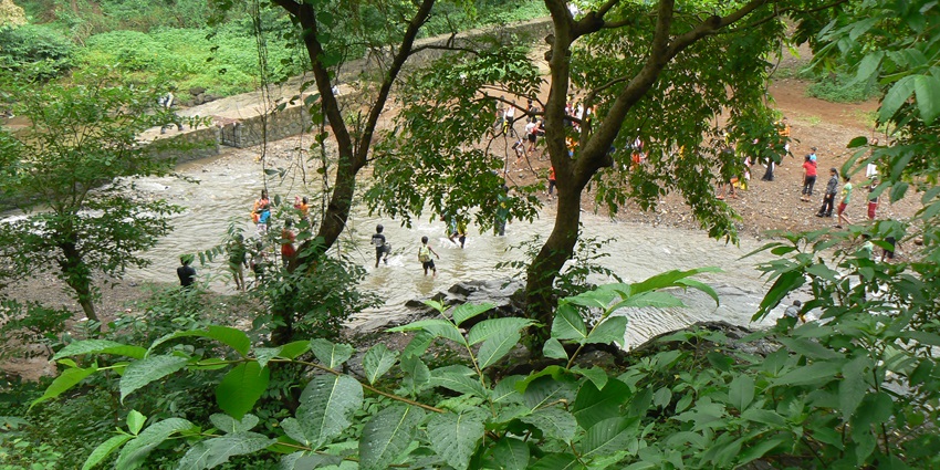 Tungareshwar Wildlife Sanctuary, the best place to visit in Vasai for couples, to enjoy nature.