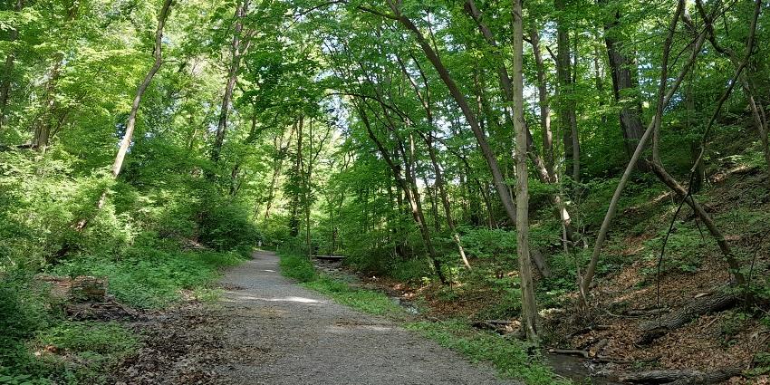 A scenic path of Tungareshwar Wildlife Sanctuary, best place near the Royal Water Park