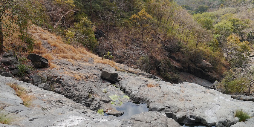 Tungareshwar Wildlife Sanctuary feature diverse flora, fauna, and nature exploration opportunities.