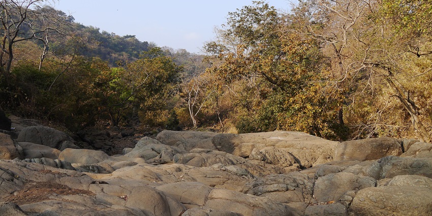 Rocky area of the Tungareshwar Wildlife Sanctuary, perfect for camping in Palghar.