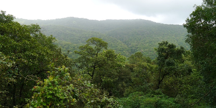 Tungareshwar Wildlife Sanctuary, a tourist destination near Takmak Fort in Mumbai.