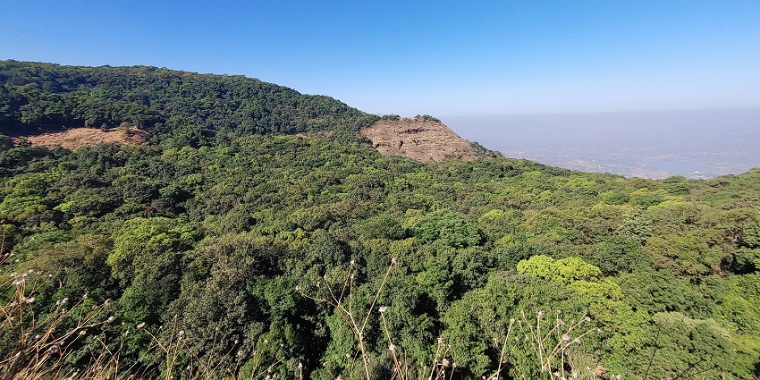 A picture of Tungareshwar, one of the peaceful trekking places in Mumbai for one day.