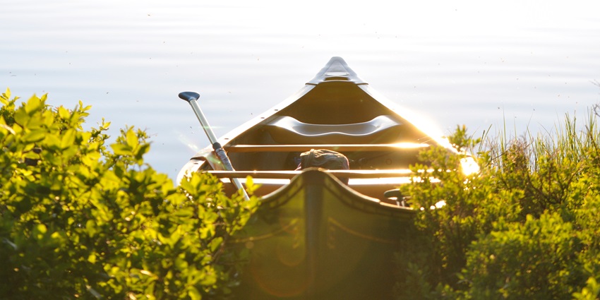 An image of a boat on the serene Tungarli Lake surrounded by lush greenery.