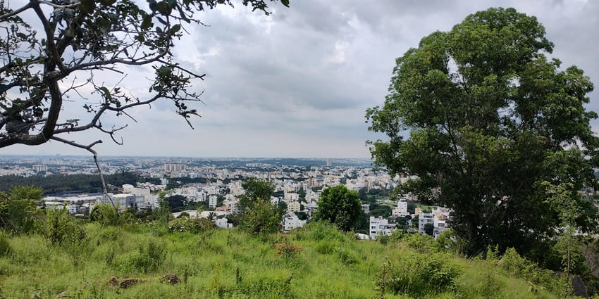 Turahalli Forest is one of the most beautiful places to visit for every traveller.