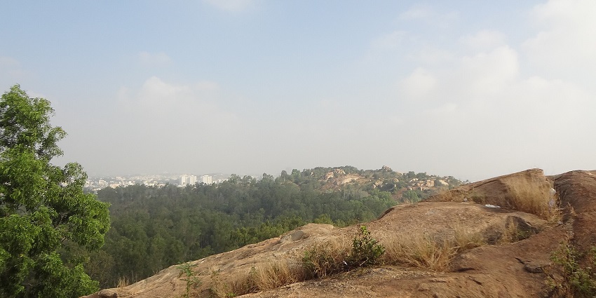 Turahalli Forest features serene trails, rich biodiversity, and nature activities.