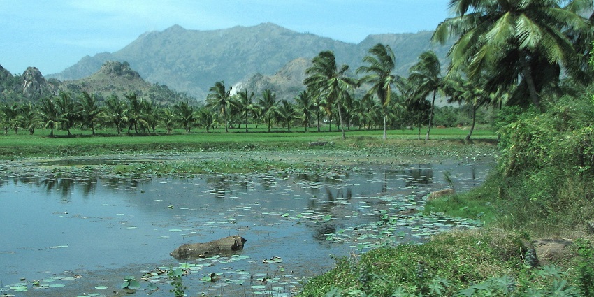 Scenic view of streets in Nagercoil town, located in the Western Ghats of Tamil Nadu.