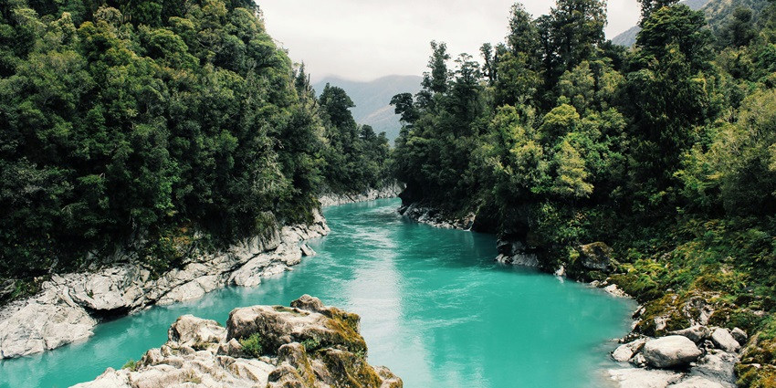 A scenic view of a river surrounded by lush green trees in a natural setting