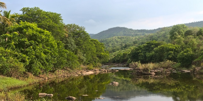 The beautiful image of the Ullas river near Kondana caves in Karjat, Maharashtra.