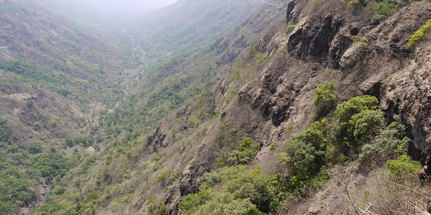 Ulhas Valley: Lush greenery, waterfalls, perfect for nature exploration for travellers.