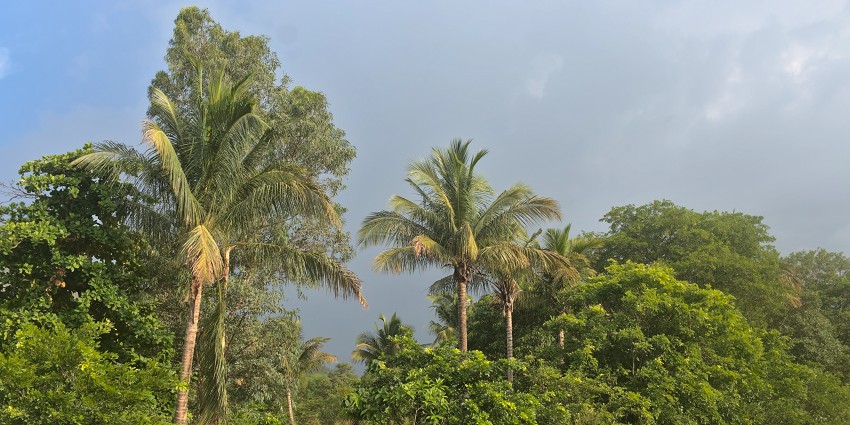 Ulhasnagar Camp, a tourist attraction, is one of the key places to visit in Ulhasnagar.