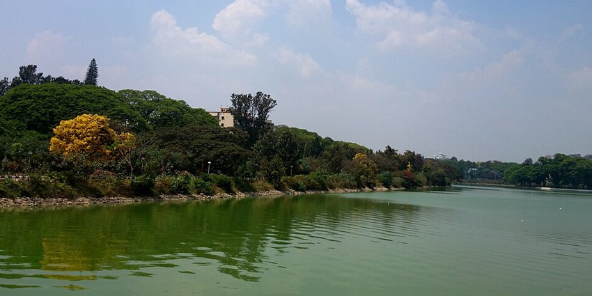 Experience the boating scene at Ulsoor Lake with reflections of trees and the skyline in the water.