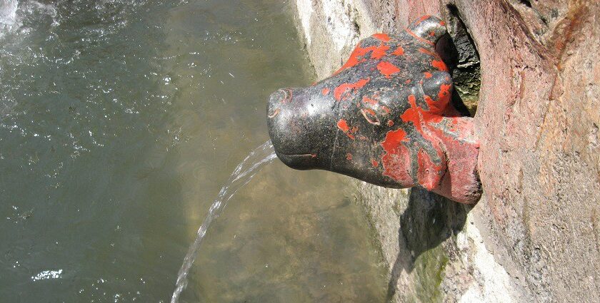 Water flowing from the spout shaped like a cow in Unapdev Hot Water Spring, Jalgaon