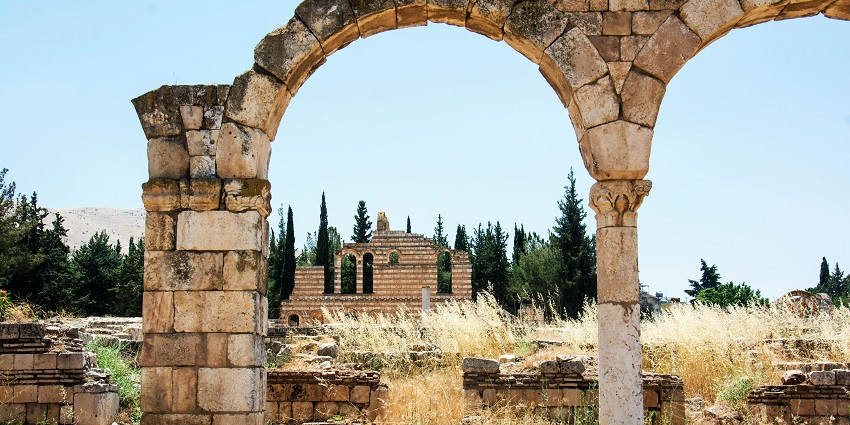 Ancient castle ruins with crumbling walls and towers, set amidst lush greenery and a clear blue sky, evoking a sense of history and mystery.