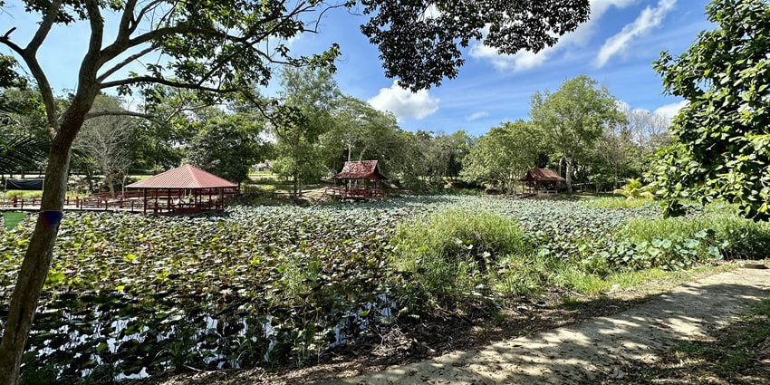 Serene view of a Park in Brunei, featuring wooden walkways, similar to JK Park