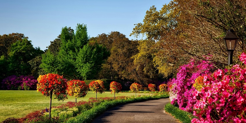 Choose to stroll through the sprawling Nirvana Park for a rejuvenating experience.