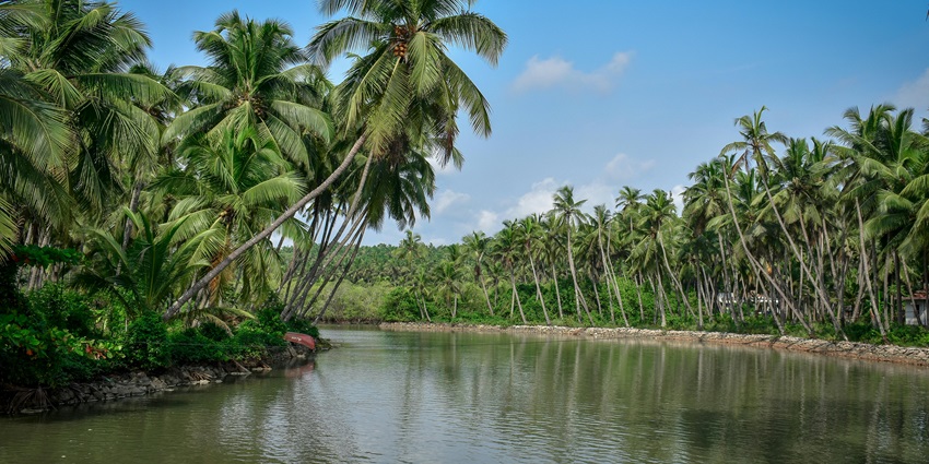Scenic view of Uppinakudru Island, one of the places to visit in Udupi to escape the crowds