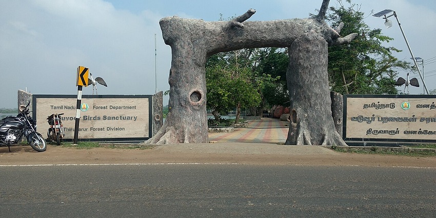 An entrance door to Vaduvur Bird Sanctuary, home to around 20000+ bird species.