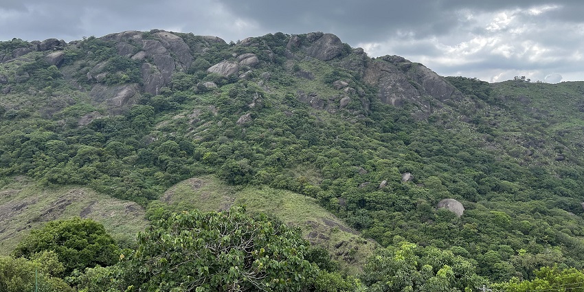 View of Vagamon’s mountains, which is one of the famous hill stations near Nagercoil