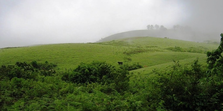 A picture of Vagamon that provides a perfect escape among the best attractions.