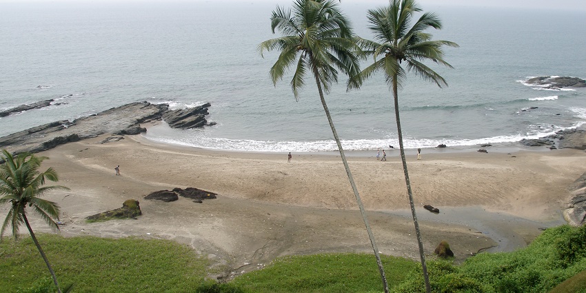 Image of momentary green freshness just before the start of the dry season. Vagator, Goa