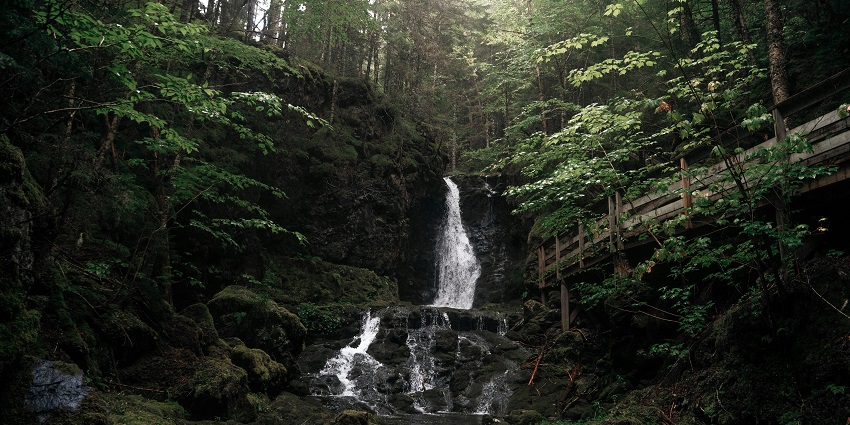 Exploring the serene Vaidehi Waterfall is one of the best things to do in Anaikatti.