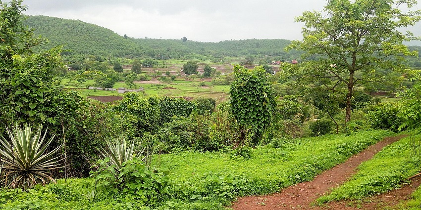 Hilltop view of the Vajreshwari Temple, a famous place to explore for its natural beauty.