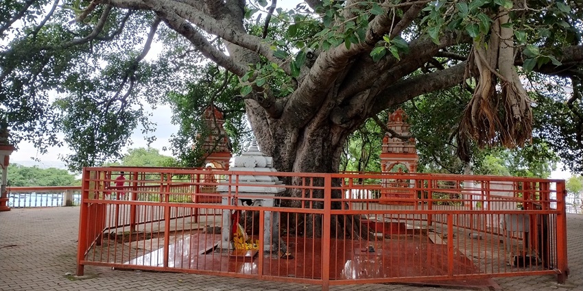 A serene temple dedicated to Goddess Durga, surrounded by greenery and known for its Navaratri celebrations, one of the best places to visit in Kukke Subramanya.