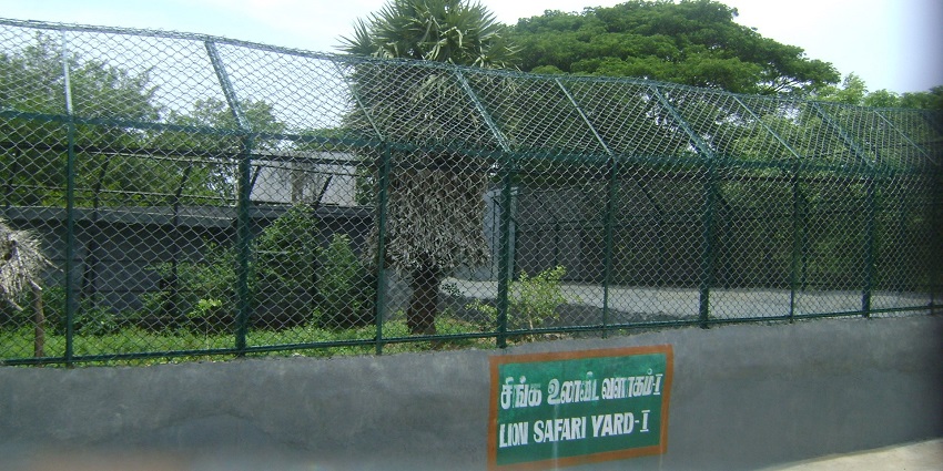 View of a grassy yard at Lion Safari, Vandalur Zoo, with trees and enclosed fencing.