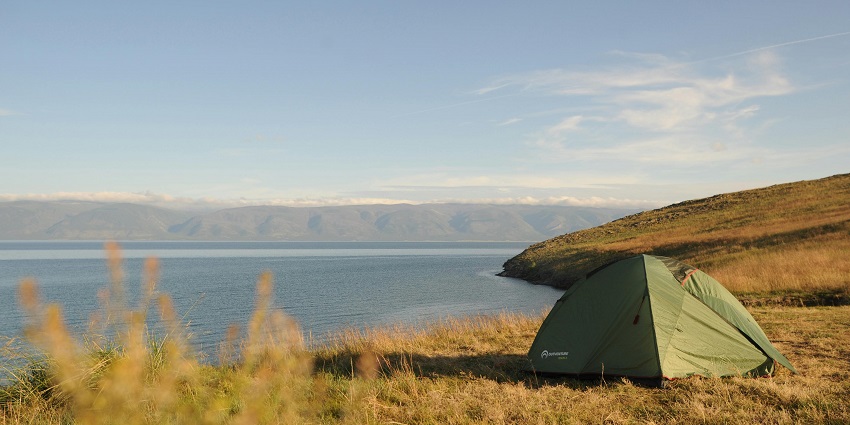 Camping area near the shore of a water body around which there are several trees.