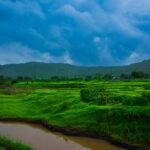 A breathtaking vista of green fields, a tranquil stream and cloudy skies of Maharashta.