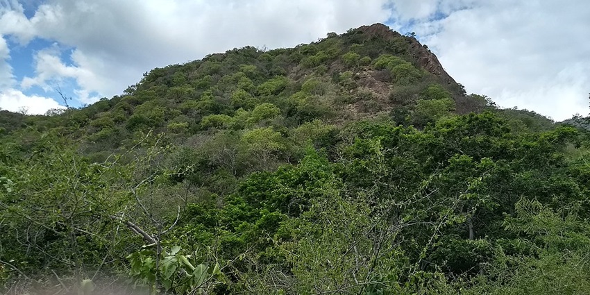 Serene trek with beautiful landscapes and peaceful surroundings.